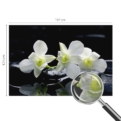 Papel de parede Flores e pedras