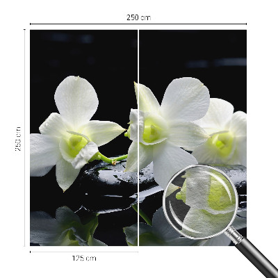 Papel de parede Flores e pedras