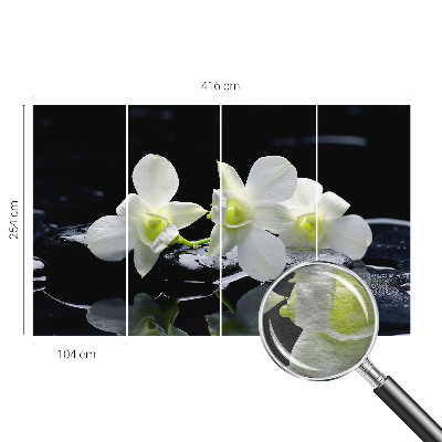 Papel de parede Flores e pedras