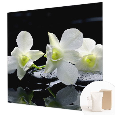 Papel de parede Flores e pedras