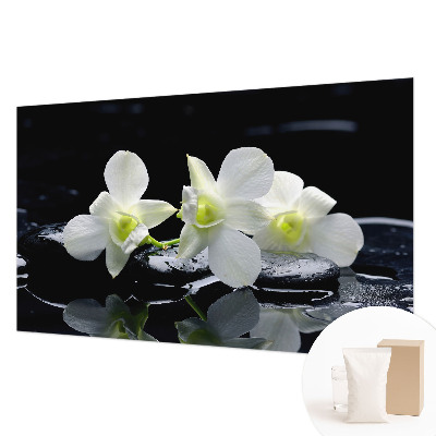 Papel de parede Flores e pedras
