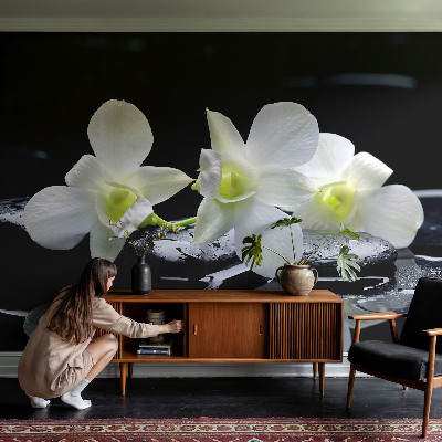 Papel de parede Flores e pedras