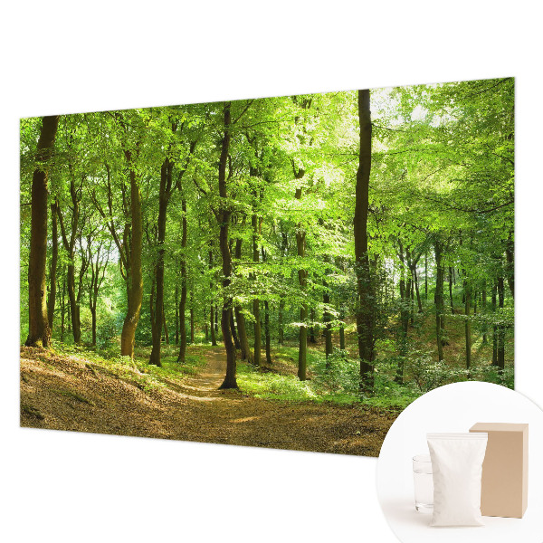 Papel de parede decorativo Caminho natural