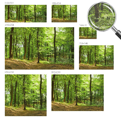 Papel de parede decorativo Caminho natural