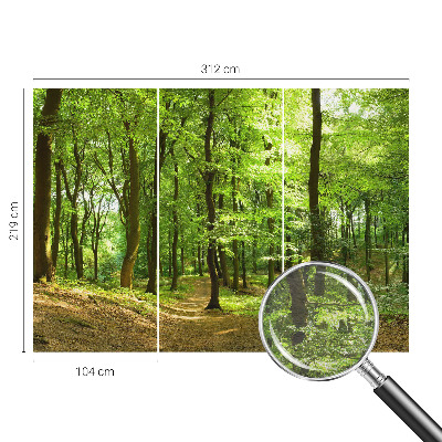 Papel de parede decorativo Caminho natural