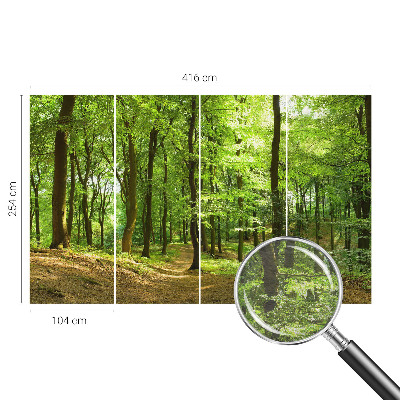 Papel de parede decorativo Caminho natural