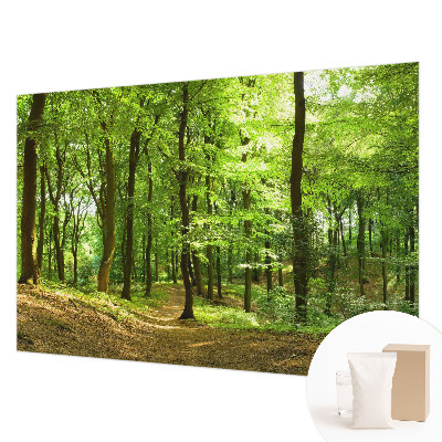 Papel de parede decorativo Caminho natural