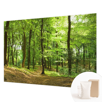 Papel de parede decorativo Caminho natural