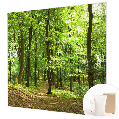Papel de parede decorativo Caminho natural