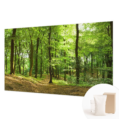 Papel de parede decorativo Caminho natural