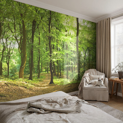Papel de parede decorativo Caminho natural