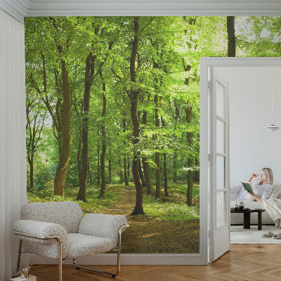Papel de parede decorativo Caminho natural