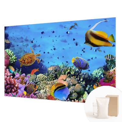 Mural fotográfico Recife de coral