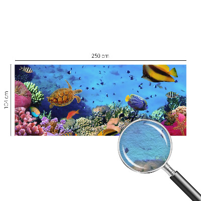 Mural fotográfico Recife de coral