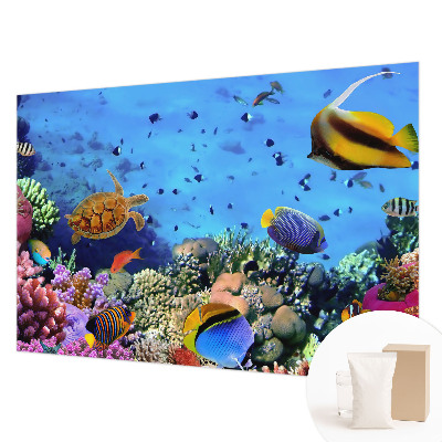 Mural fotográfico Recife de coral