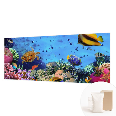 Mural fotográfico Recife de coral