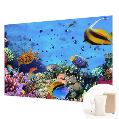 Mural fotográfico Recife de coral