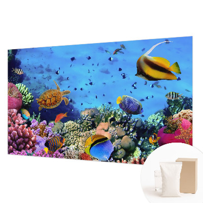 Mural fotográfico Recife de coral