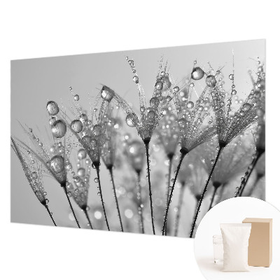 Papel de parede fotográfico Delícia molhada