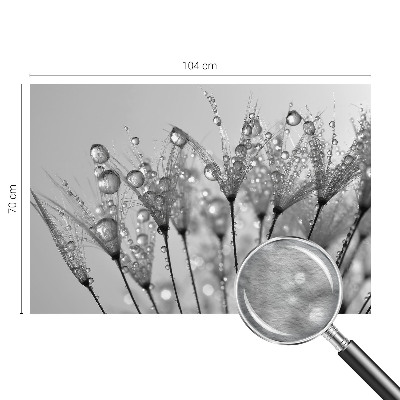 Papel de parede fotográfico Delícia molhada