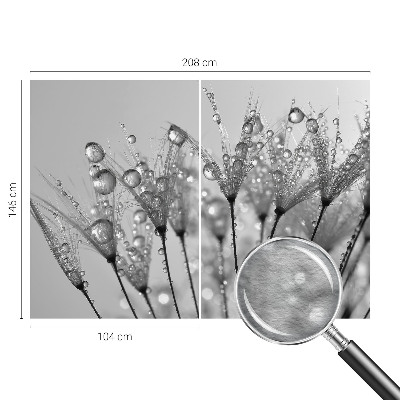 Papel de parede fotográfico Delícia molhada