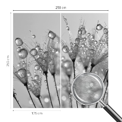 Papel de parede fotográfico Delícia molhada
