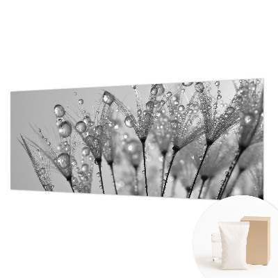 Papel de parede fotográfico Delícia molhada