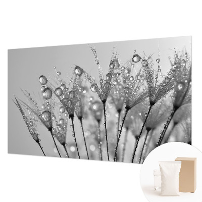 Papel de parede fotográfico Delícia molhada