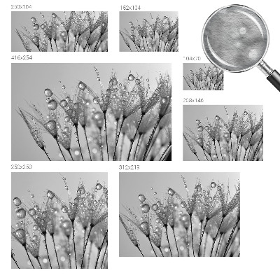 Papel de parede fotográfico Delícia molhada
