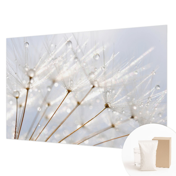 Mural de fotos na parede Dente-de-leão rosa