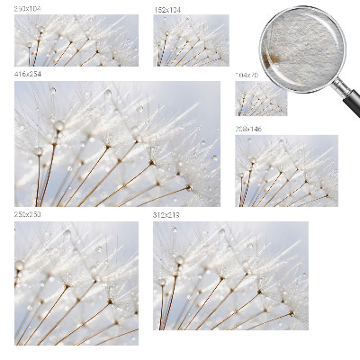 Mural de fotos na parede Dente-de-leão rosa