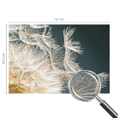 Papel de parede decorativo Dente-de-leão da leveza