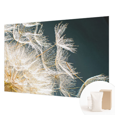 Papel de parede decorativo Dente-de-leão da leveza