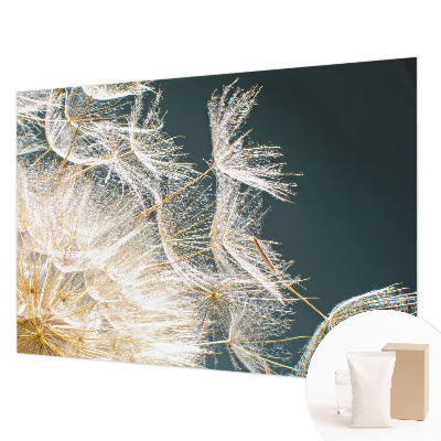 Papel de parede decorativo Dente-de-leão da leveza