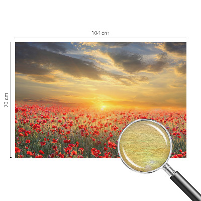 Papel de parede fotográfico Campo de papoulas