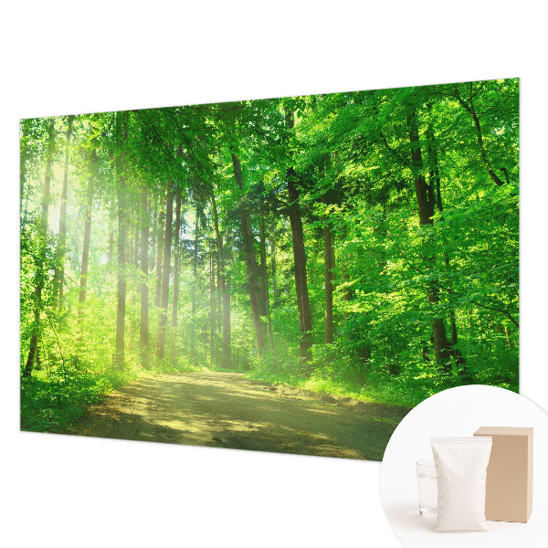 Papel de parede para sala Trilha na floresta
