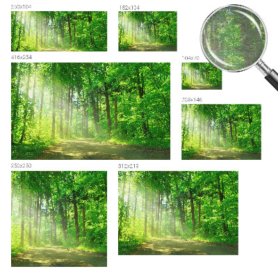 Papel de parede para sala Trilha na floresta