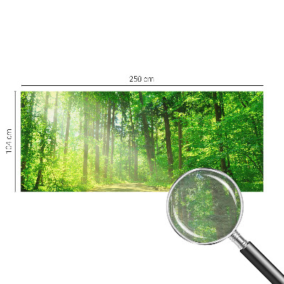 Papel de parede para sala Trilha na floresta