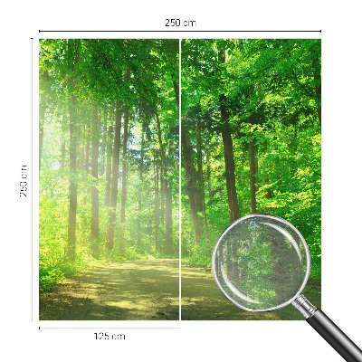 Papel de parede para sala Trilha na floresta