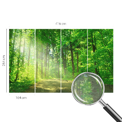 Papel de parede para sala Trilha na floresta