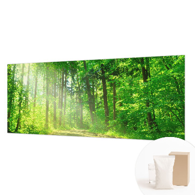 Papel de parede para sala Trilha na floresta