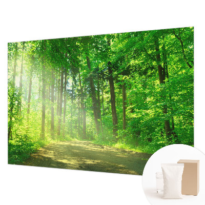 Papel de parede para sala Trilha na floresta