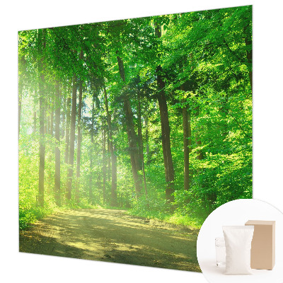 Papel de parede para sala Trilha na floresta