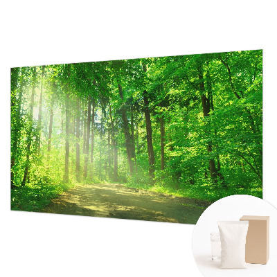 Papel de parede para sala Trilha na floresta