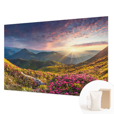 Papel de parede para quarto Panorama da montanha