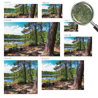 Mural de fotos na parede Paisagem florestal