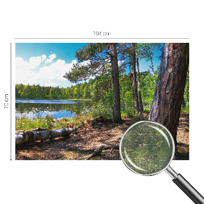 Mural de fotos na parede Paisagem florestal