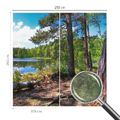 Mural de fotos na parede Paisagem florestal