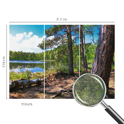 Mural de fotos na parede Paisagem florestal