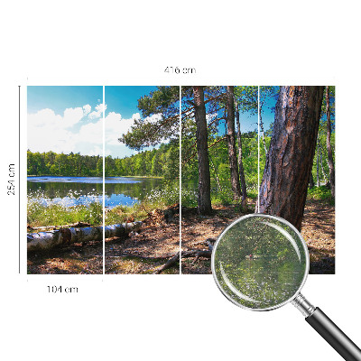 Mural de fotos na parede Paisagem florestal